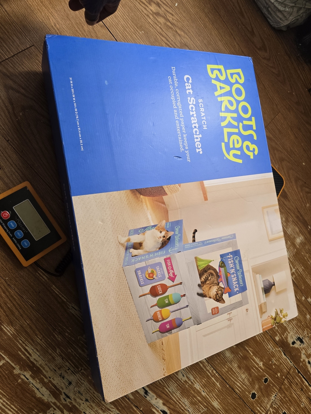 Boots & Barkley Blue Cat Scratcher